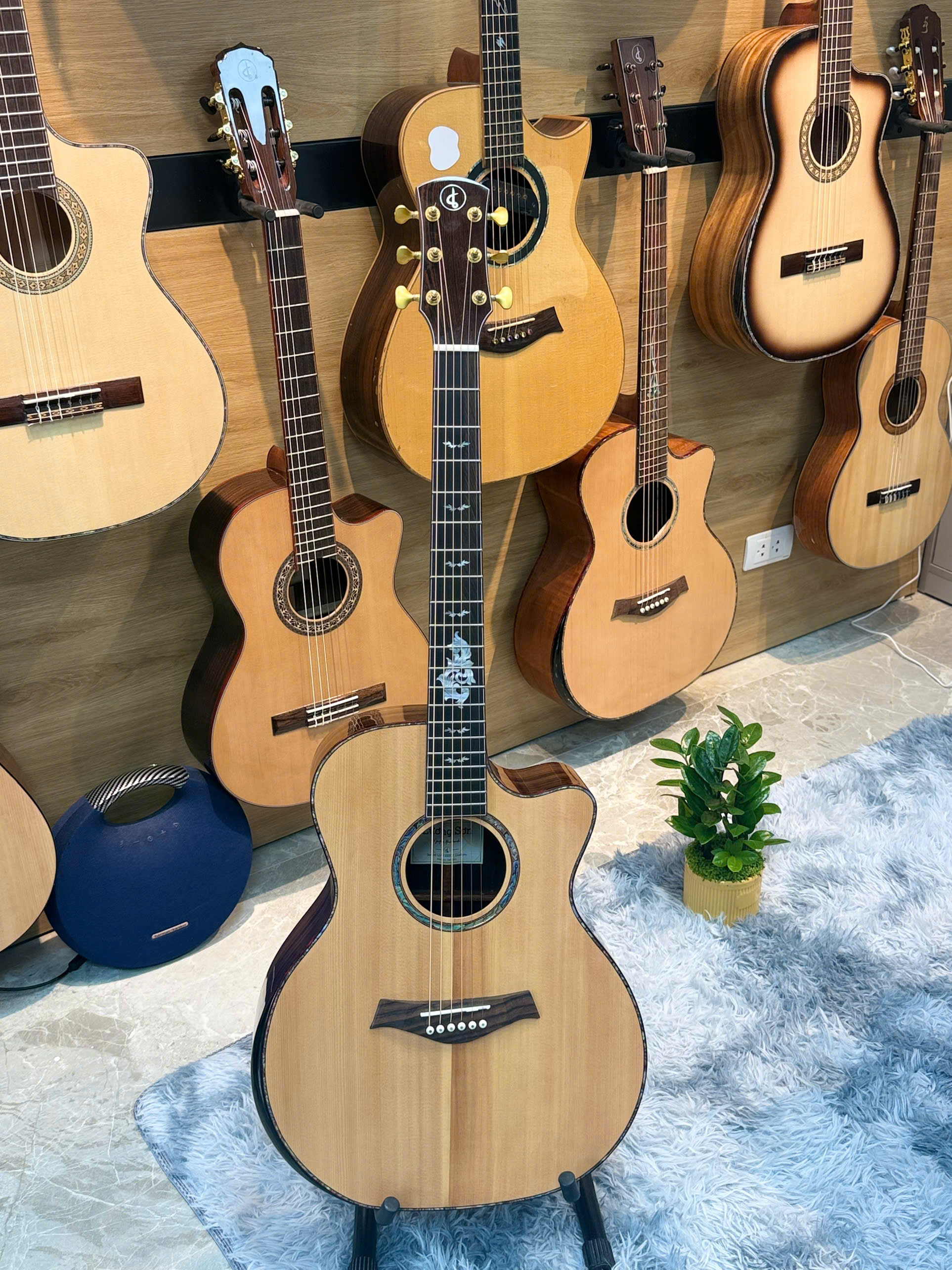Guitar Aucoustic LSA1200CX