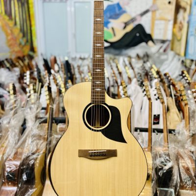 Thuận Guitar AT02-Cx Custom