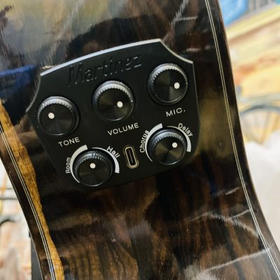 Guitar Classic Martinez MP14 Ziricote